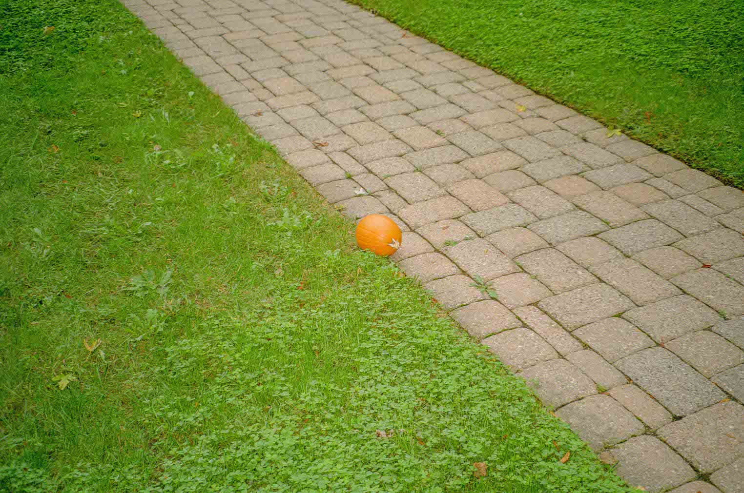 PentaxEspio_1