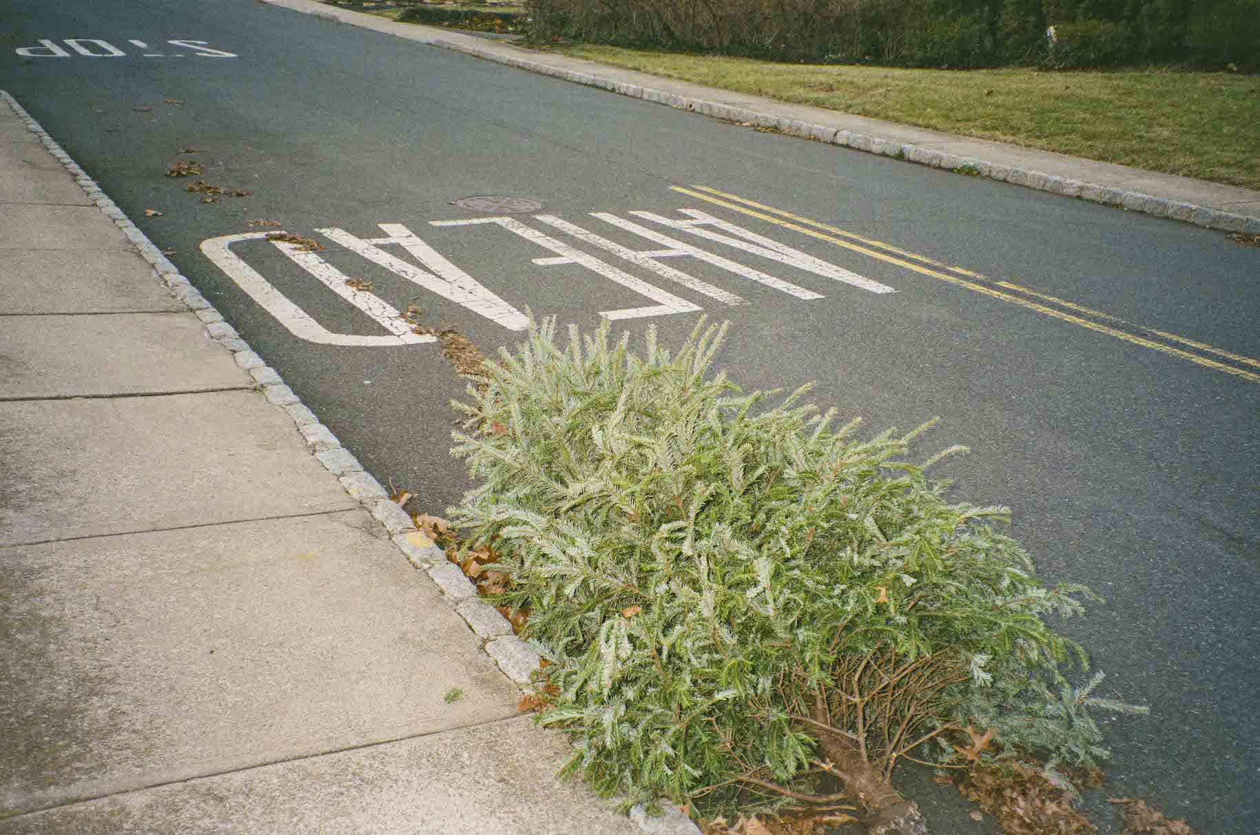 OlympusQuickShooter2_1