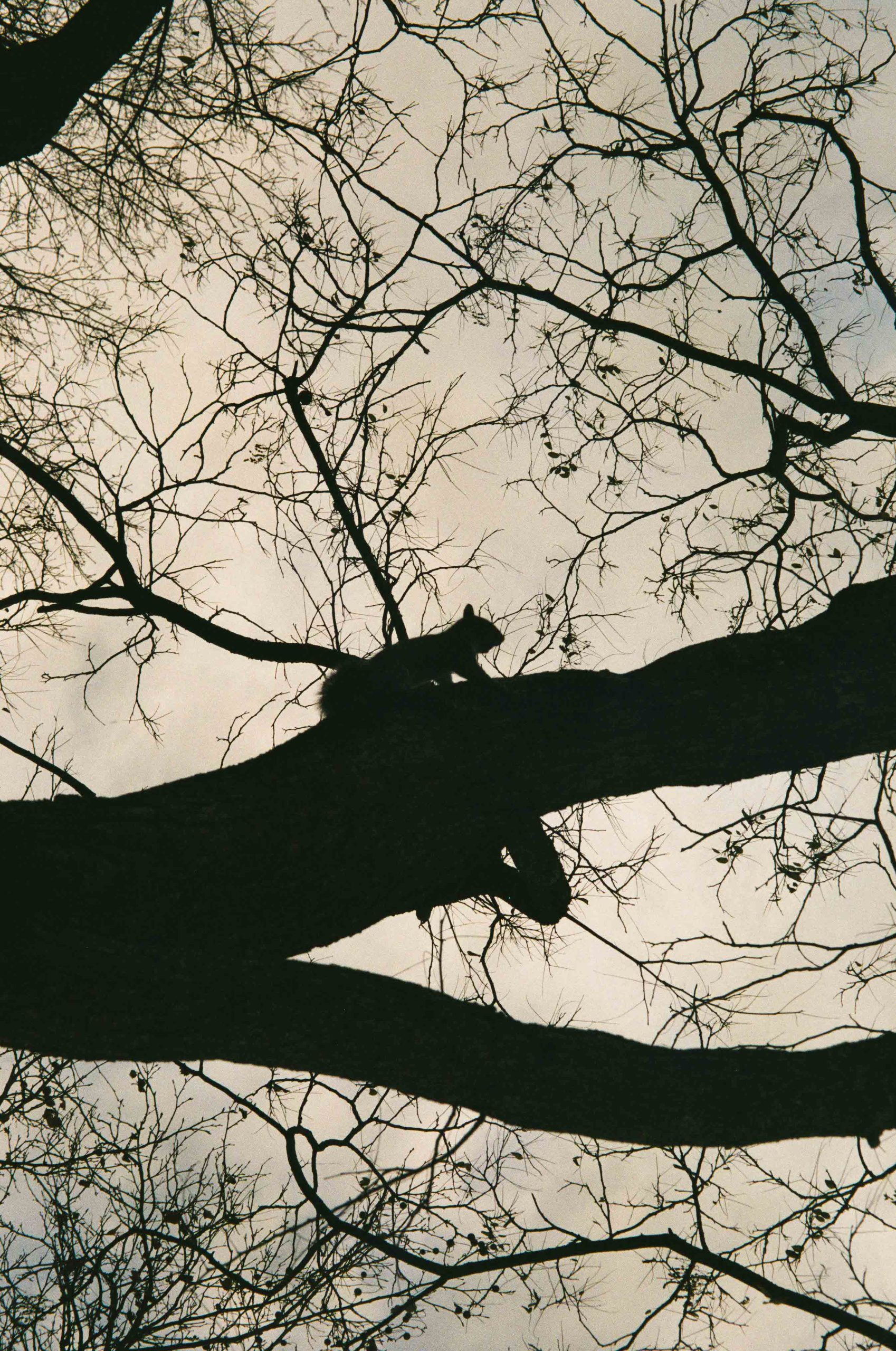 PentaxZoom90WR_1