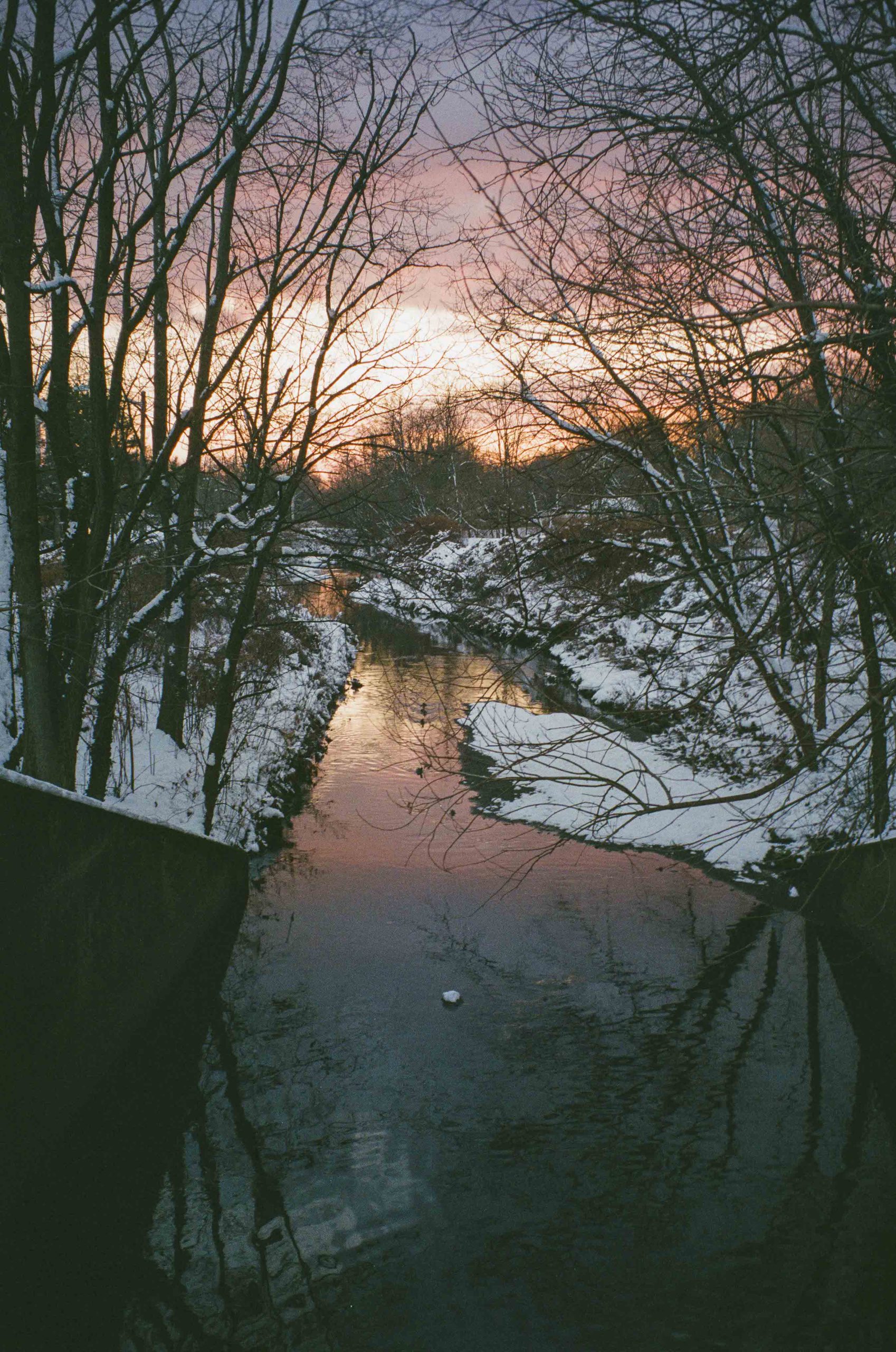PhoturaCaption_4