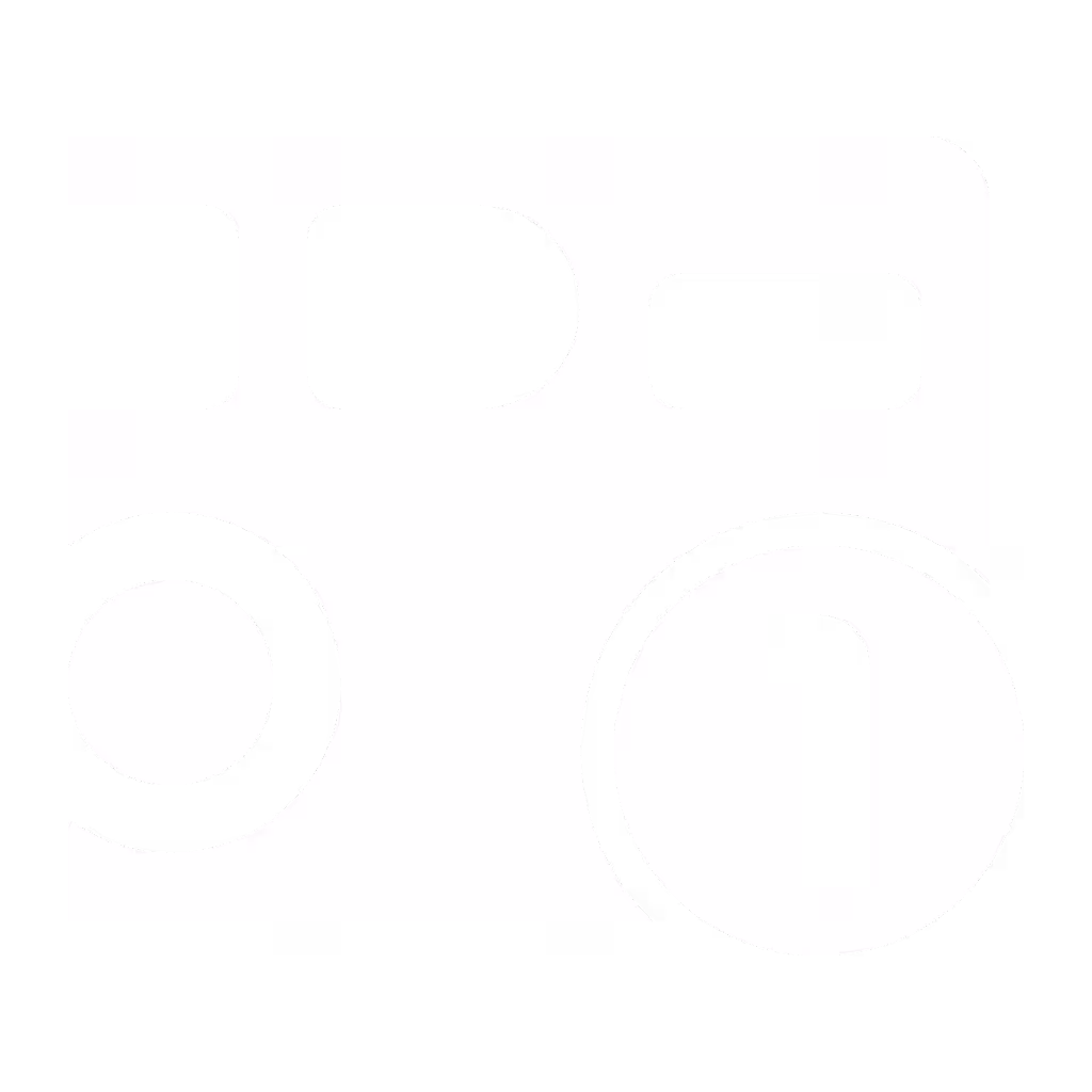 single-use camera-1024x1024