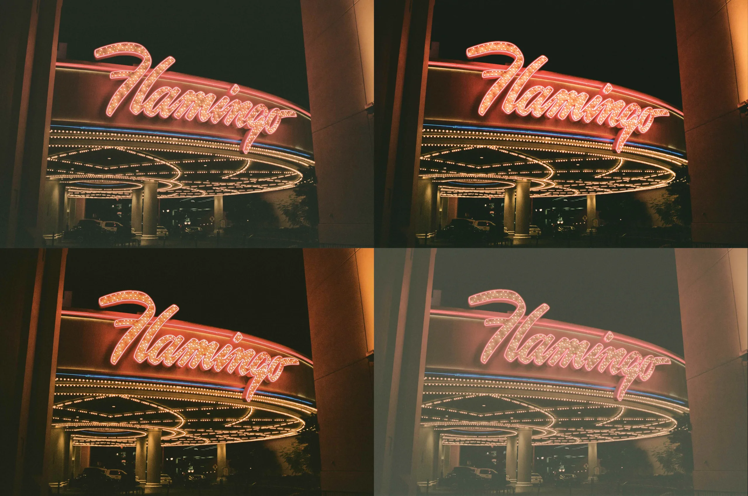 GelForm scan comparison — Flamingo