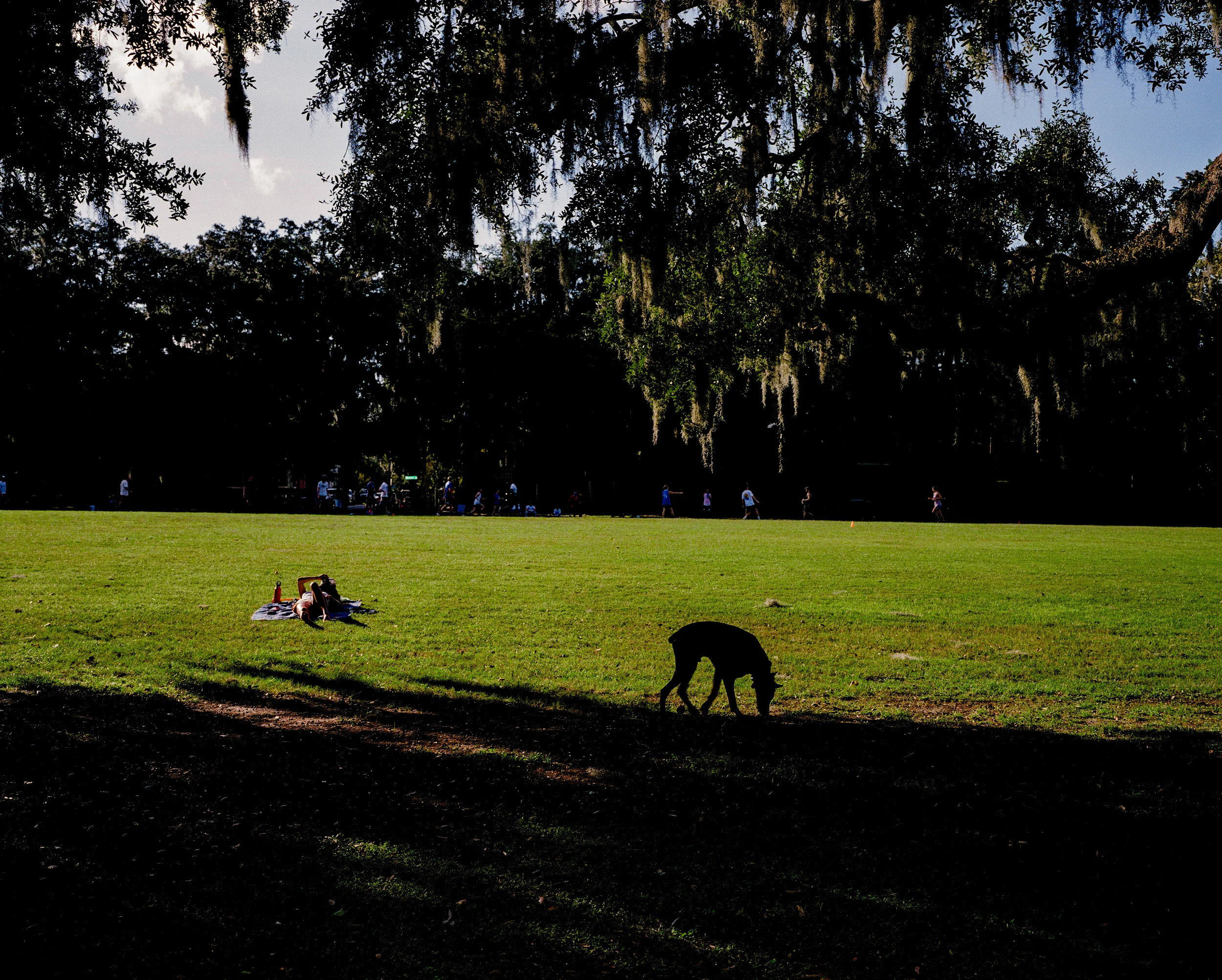 Highlight tonal layer